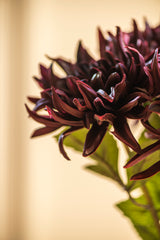 28.25 Inch Burgundy Real Touch Dahlia Stem