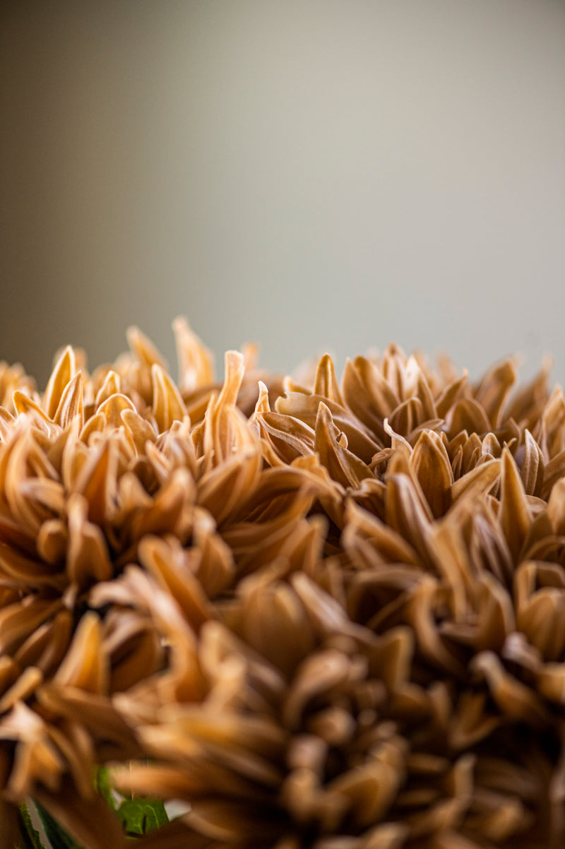 28.25 Inch Tan Real Touch Dahlia Stem