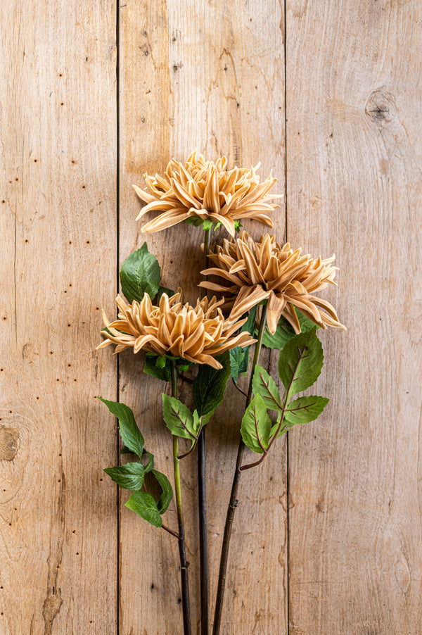 28.25 Inch Tan Real Touch Dahlia Stem