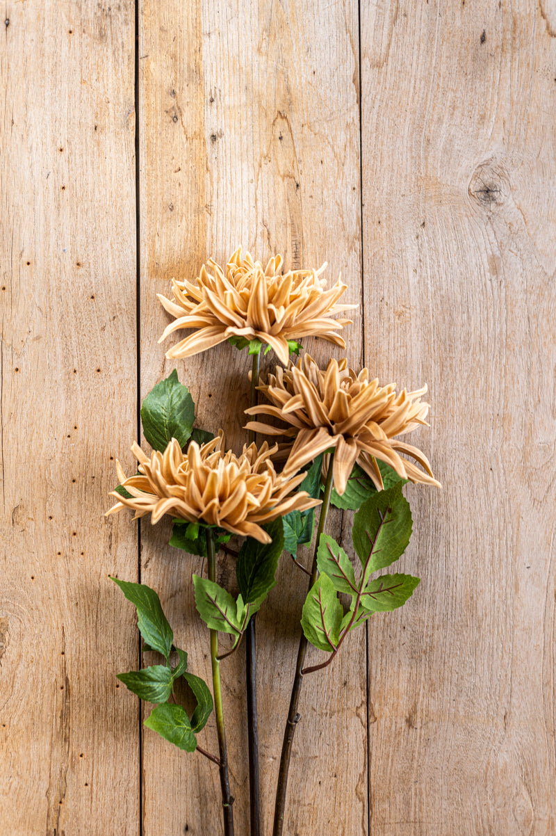 28.25 Inch Tan Real Touch Dahlia Stem