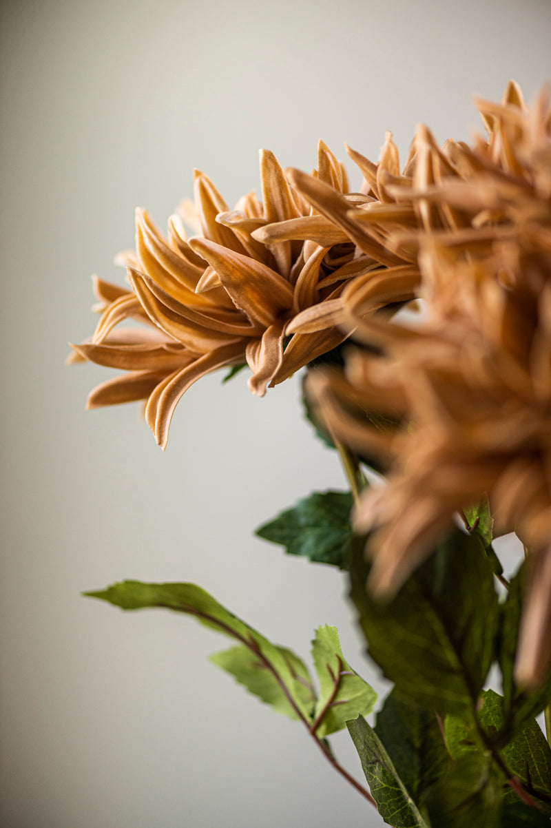 28.25 Inch Tan Real Touch Dahlia Stem