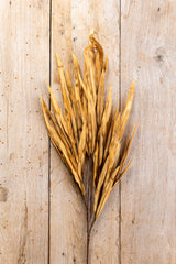 35 Inch Brown Eva Grass Stem