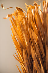 35 Inch Brown Eva Grass Stem