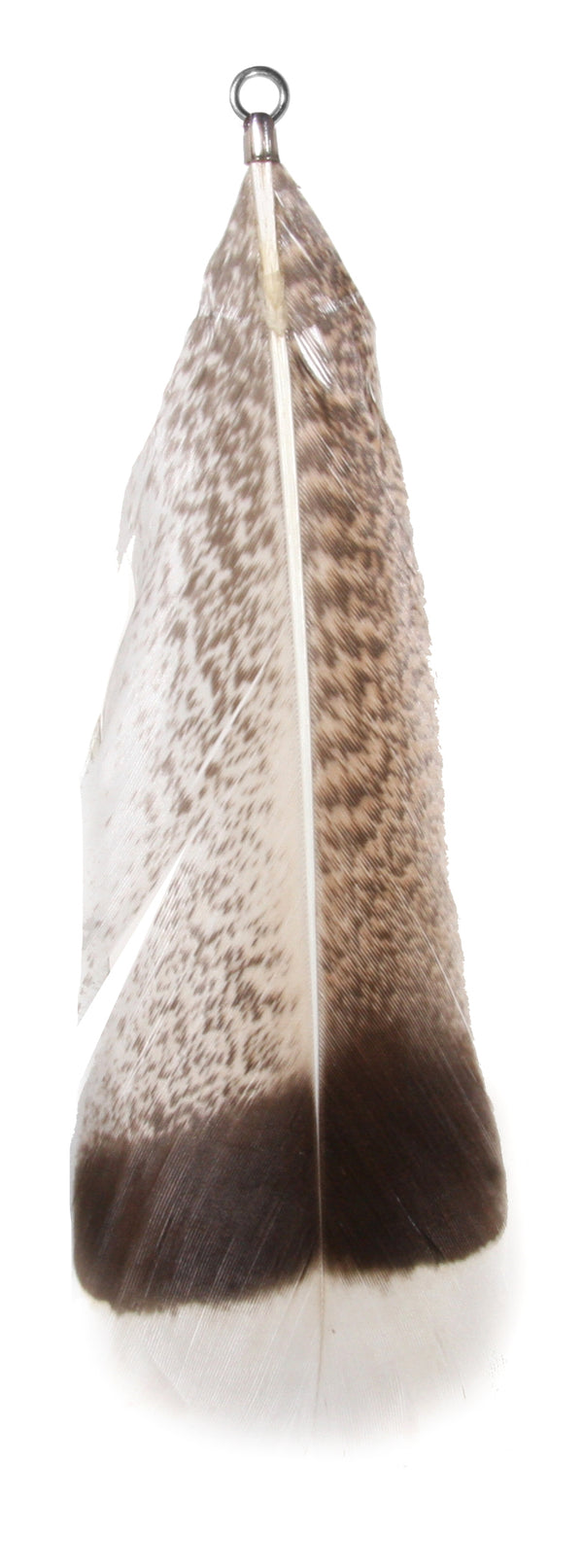 Turkey feather brown 19cm