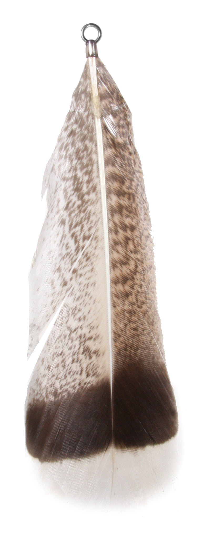 Turkey feather brown 19cm