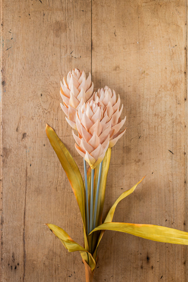 28" Beige Ginger Triple Flower Stem