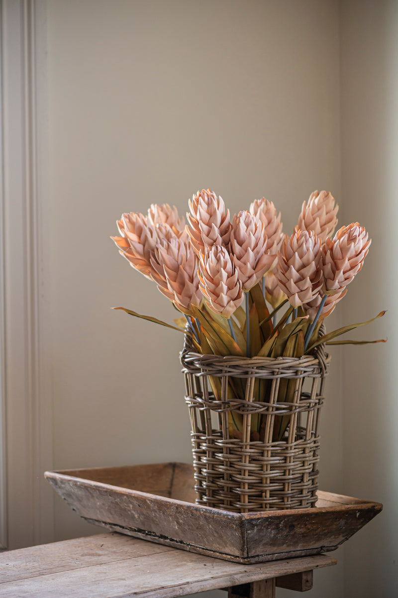 28" Beige Ginger Triple Flower Stem