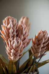 28" Beige Ginger Triple Flower Stem