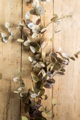 70 Inch Green Two-Tone Eucalyptus Garland