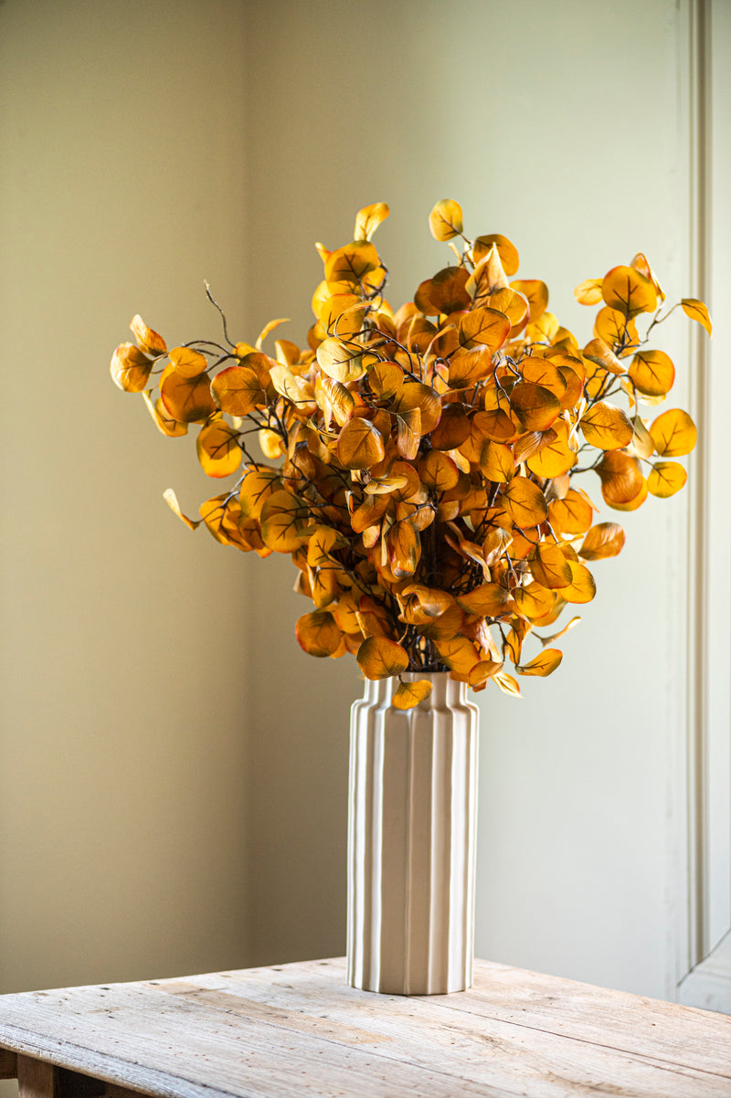 28 Inch Yellow Gumdrop Eucalyptus Stem