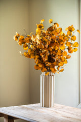 28 Inch Yellow Gumdrop Eucalyptus Stem