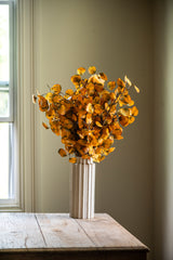 28 Inch Yellow Gumdrop Eucalyptus Stem