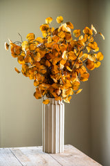 28 Inch Yellow Gumdrop Eucalyptus Stem