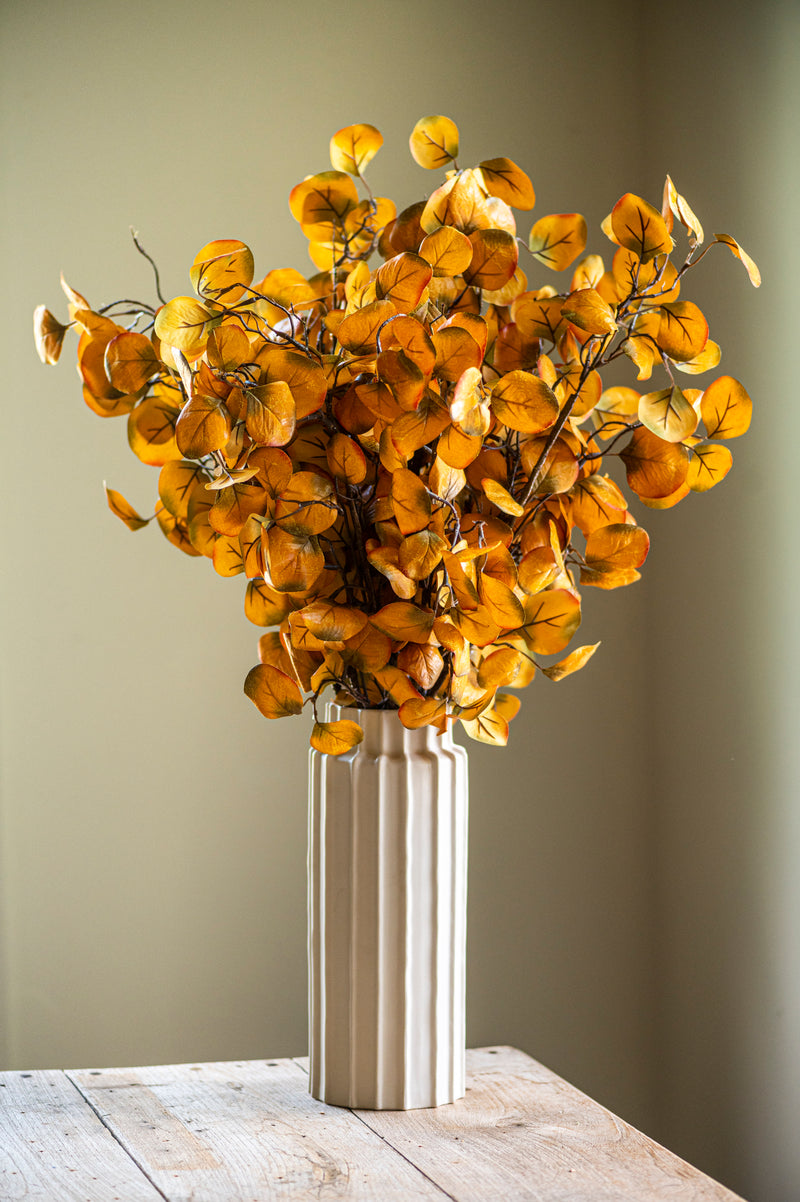 28 Inch Yellow Gumdrop Eucalyptus Stem