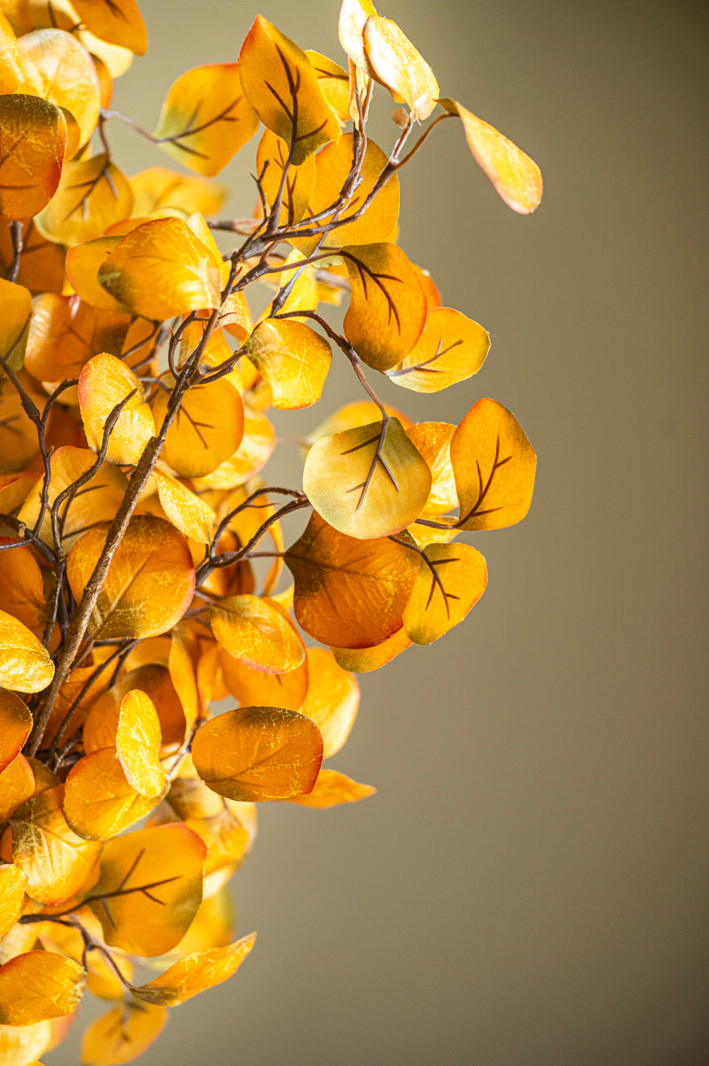 28 Inch Yellow Gumdrop Eucalyptus Stem