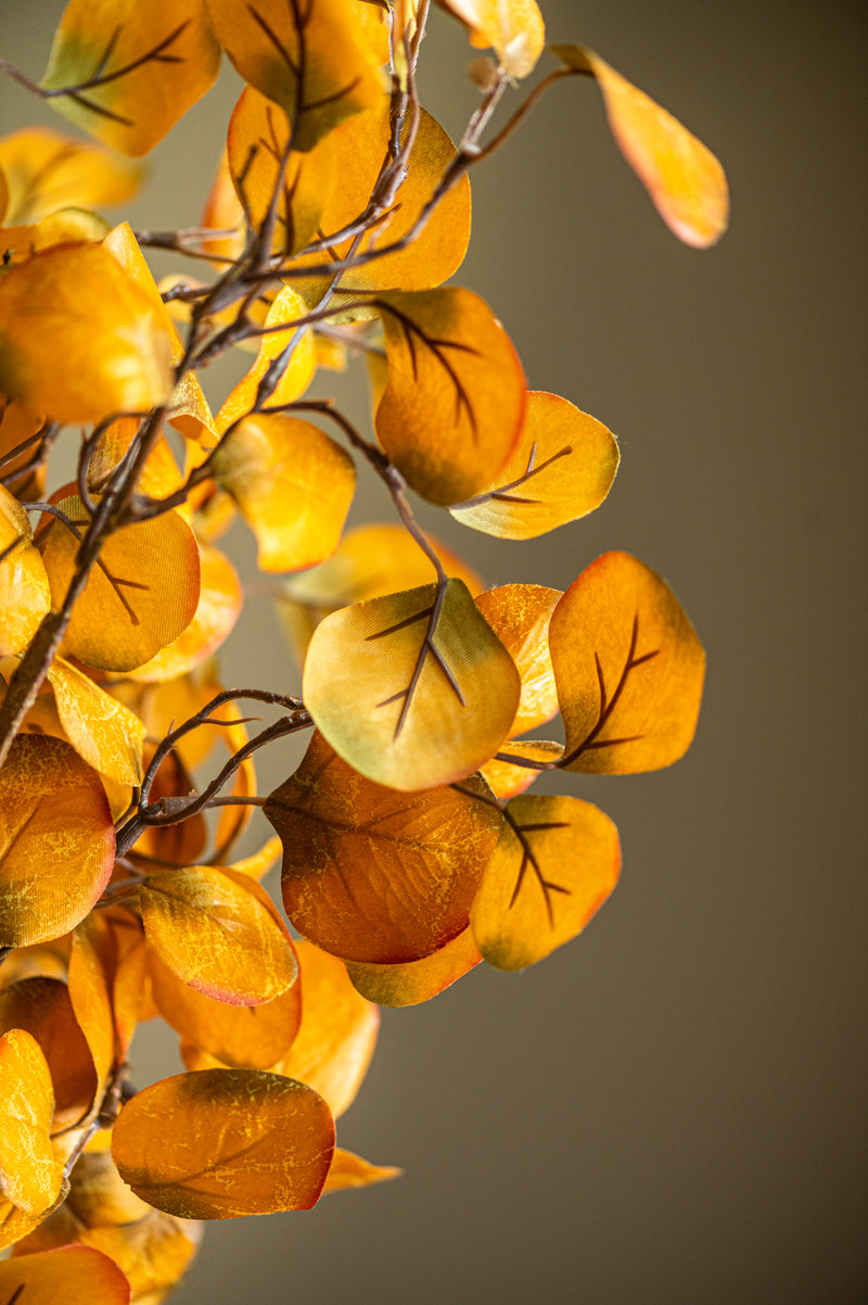 28 Inch Yellow Gumdrop Eucalyptus Stem