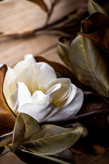 65 Inch White Real Touch Magnolia Garland