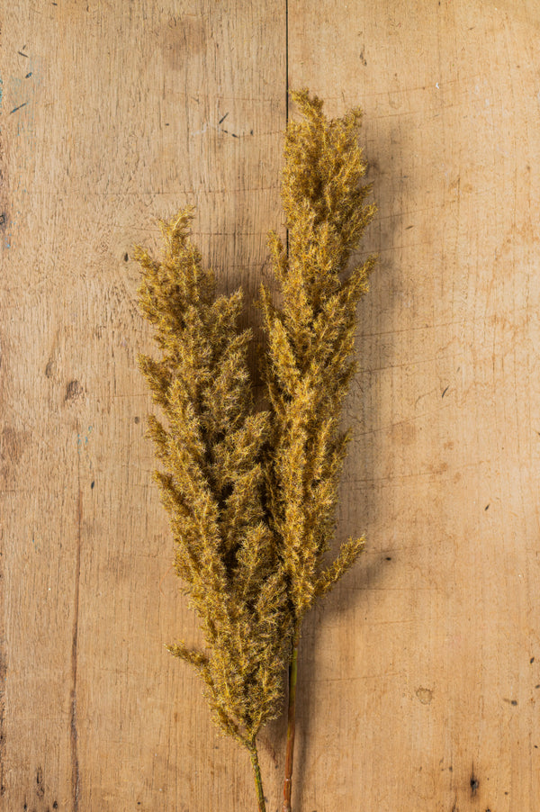 36.5" Green Brown Flocked Cypress Branch