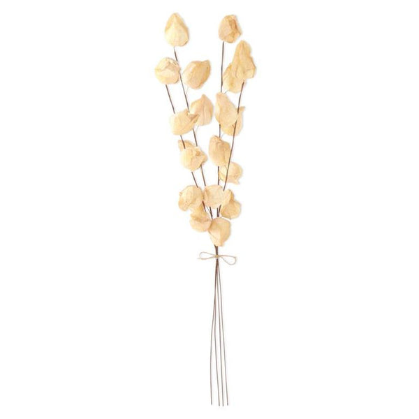 28.5 Inch Cream Chinese Lantern Bundle (4 Stem