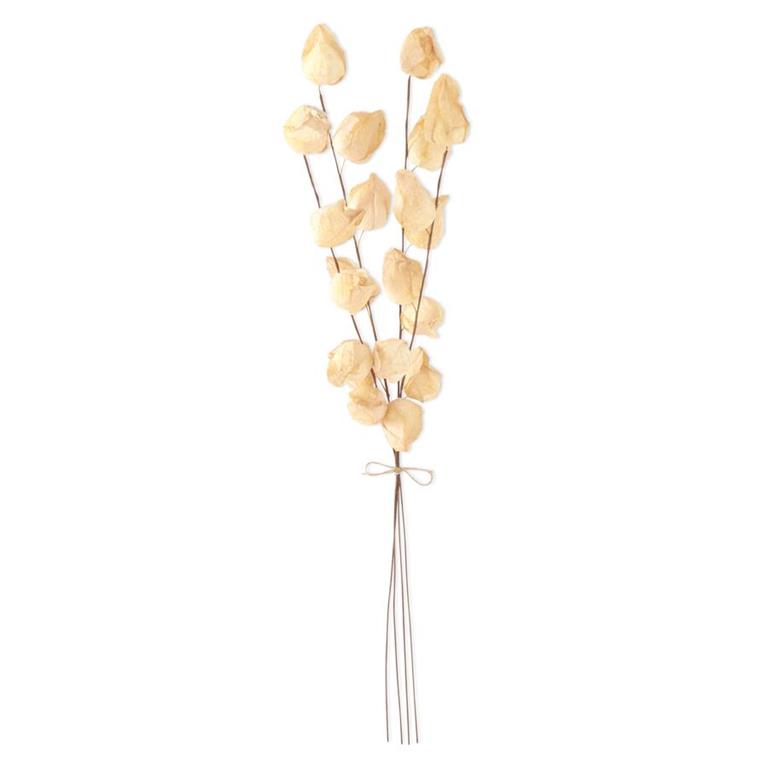 28.5 Inch Cream Chinese Lantern Bundle (4 Stem