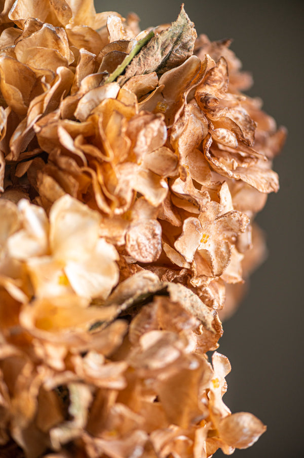 13 Inch Faux Dried Light Brown Hydrangea Bund