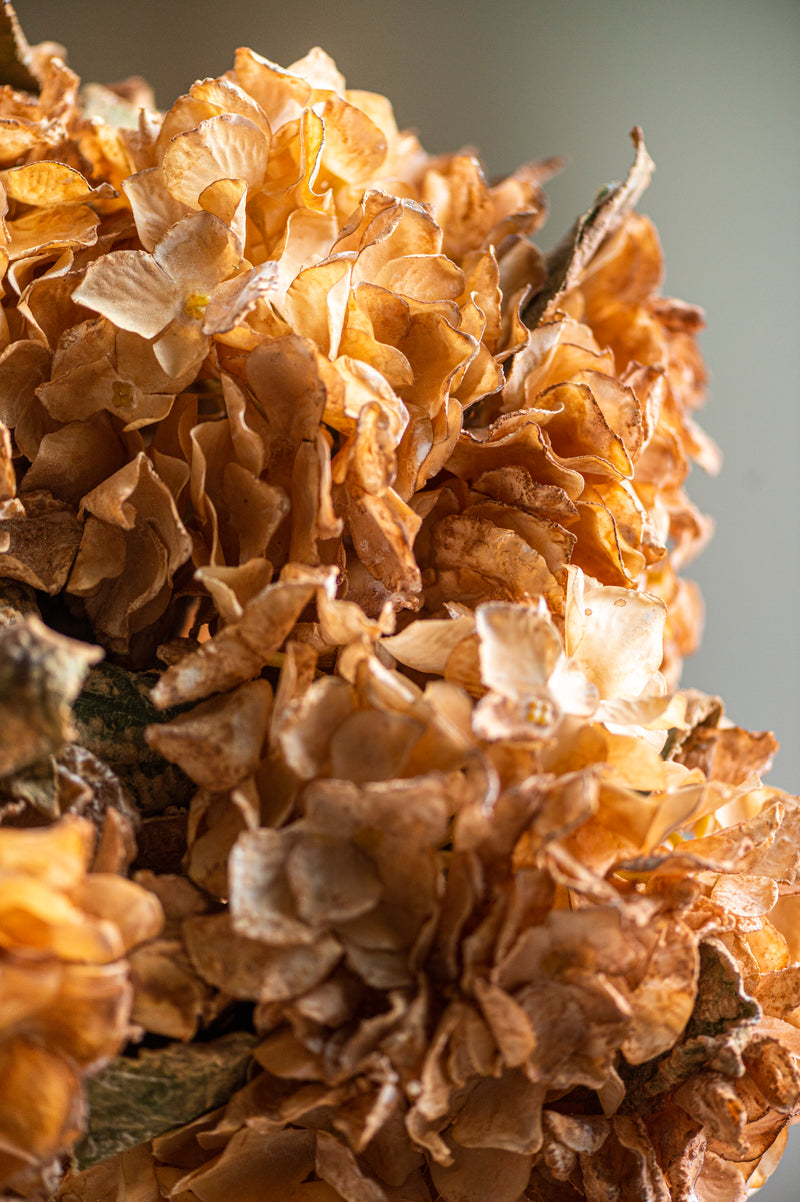 13 Inch Faux Dried Light Brown Hydrangea Bund
