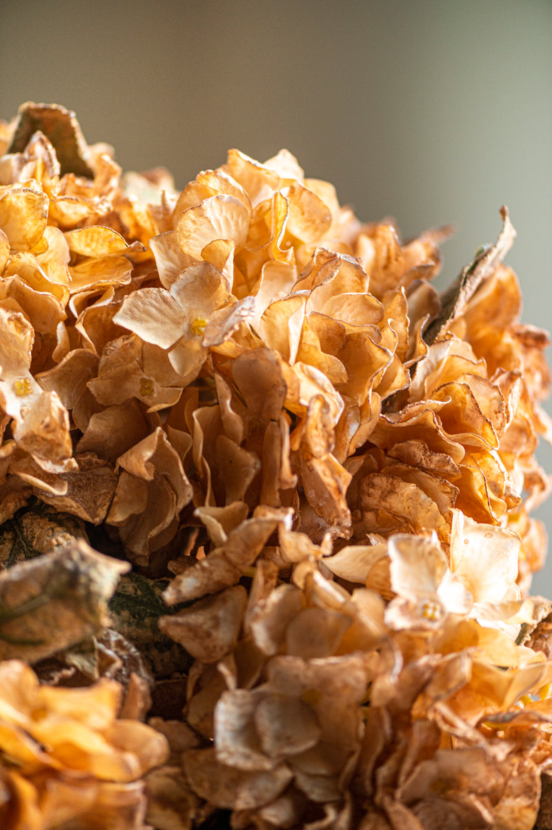 13 Inch Faux Dried Light Brown Hydrangea Bund