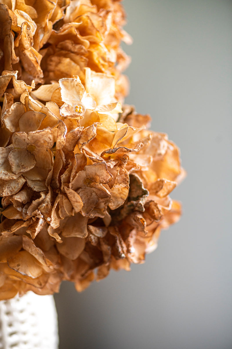 13 Inch Faux Dried Light Brown Hydrangea Bund