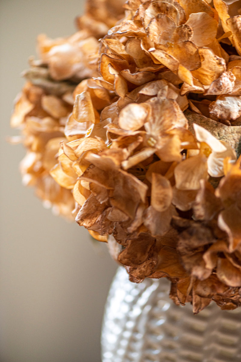 13 Inch Faux Dried Light Brown Hydrangea Bund