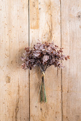 13.5 Inch Brown Eucalyptus Bundle (8 Stem)