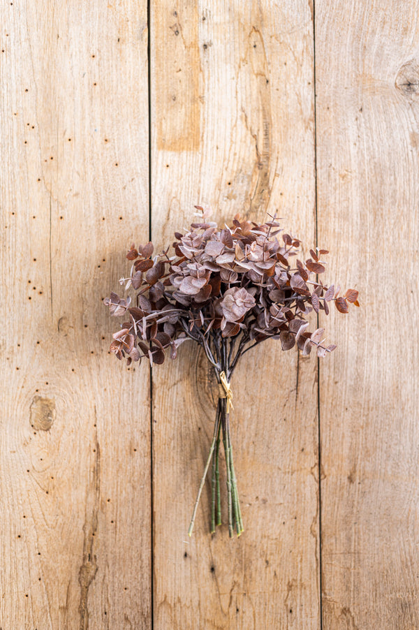 13.5 Inch Brown Eucalyptus Bundle (8 Stem)