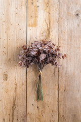 13.5 Inch Brown Eucalyptus Bundle (8 Stem)