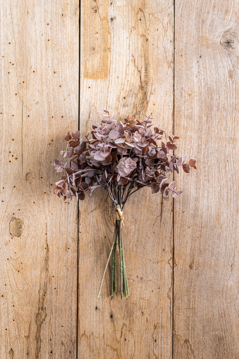 13.5 Inch Brown Eucalyptus Bundle (8 Stem)