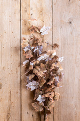 34 Inch Tan w/Green Maple Leaf Stem