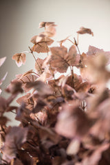 34 Inch Tan w/Green Maple Leaf Stem