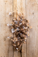 34 Inch Tan w/Green Maple Leaf Stem