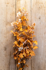 34 Inch Orange Maple Leaf Stem