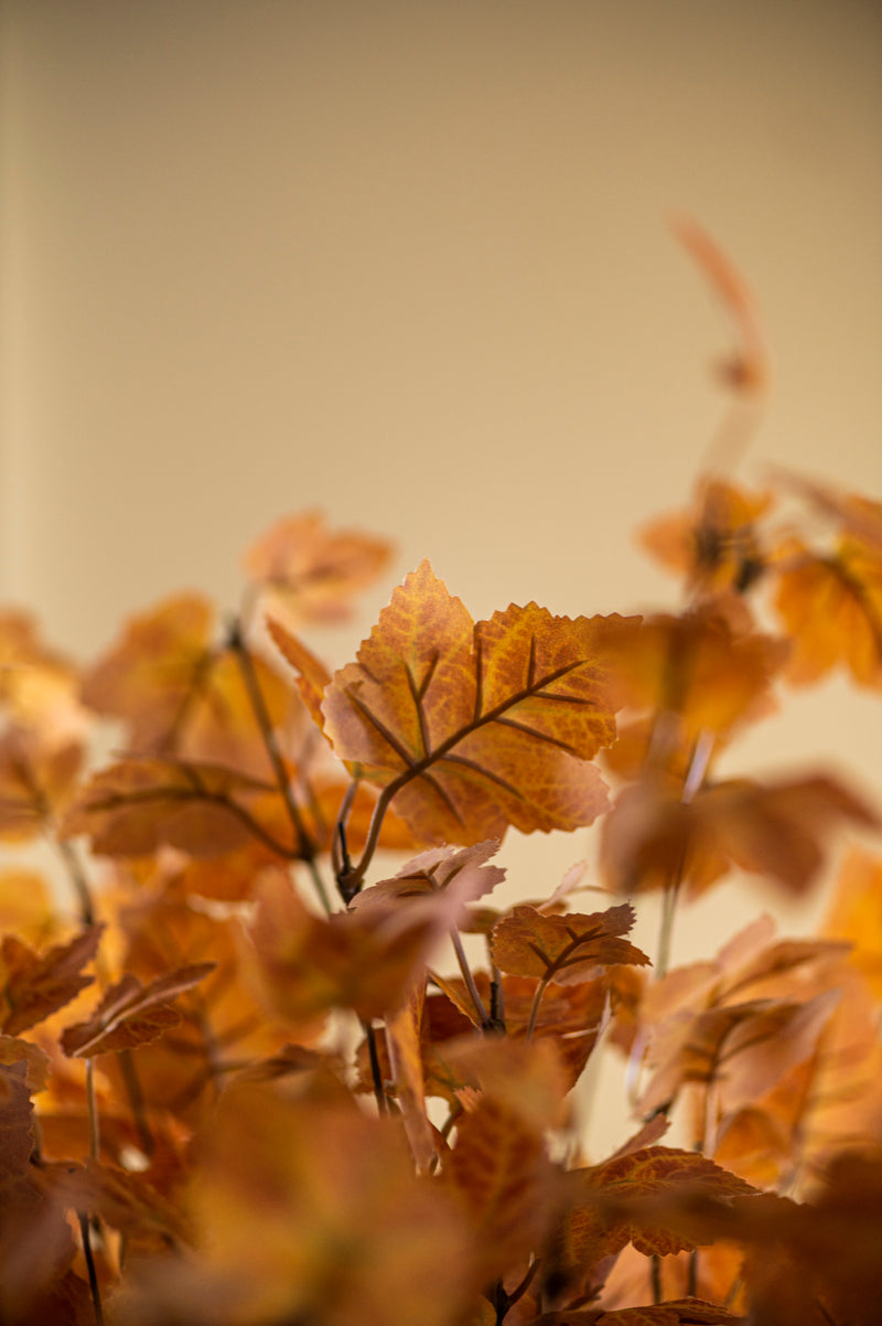 34 Inch Orange Maple Leaf Stem