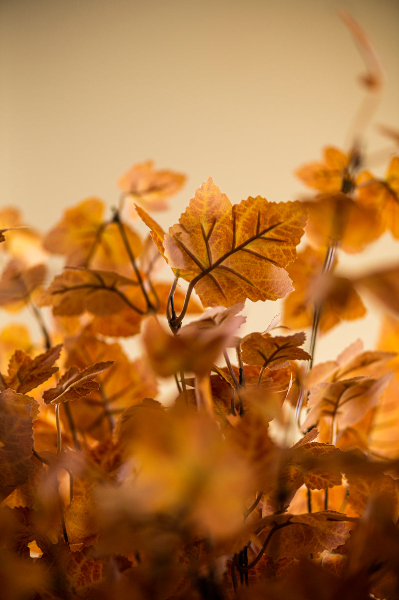 34 Inch Orange Maple Leaf Stem