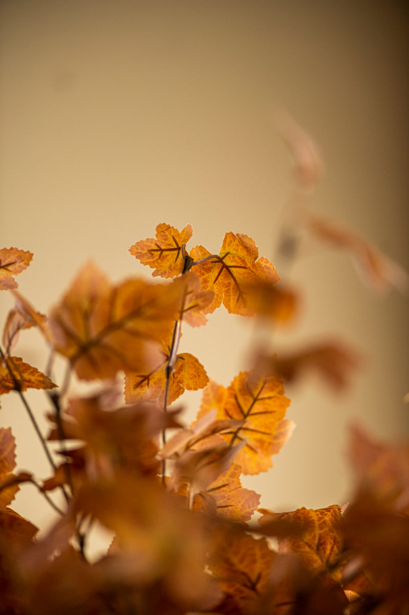 34 Inch Orange Maple Leaf Stem