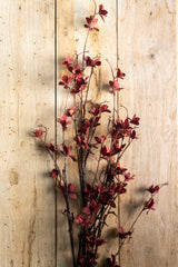 40 Inch Magnolia Bloom Spray