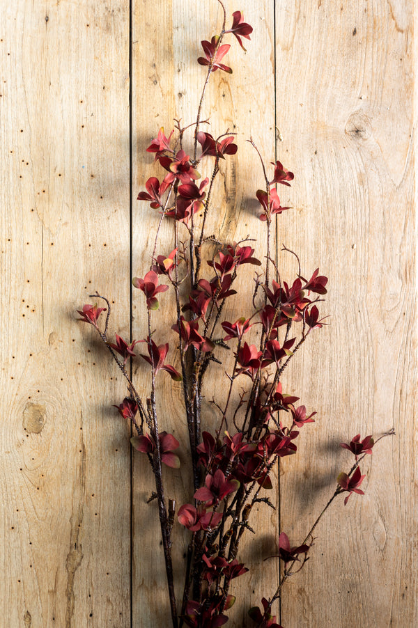 40 Inch Magnolia Bloom Spray