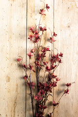 40 Inch Magnolia Bloom Spray