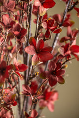 40 Inch Magnolia Bloom Spray