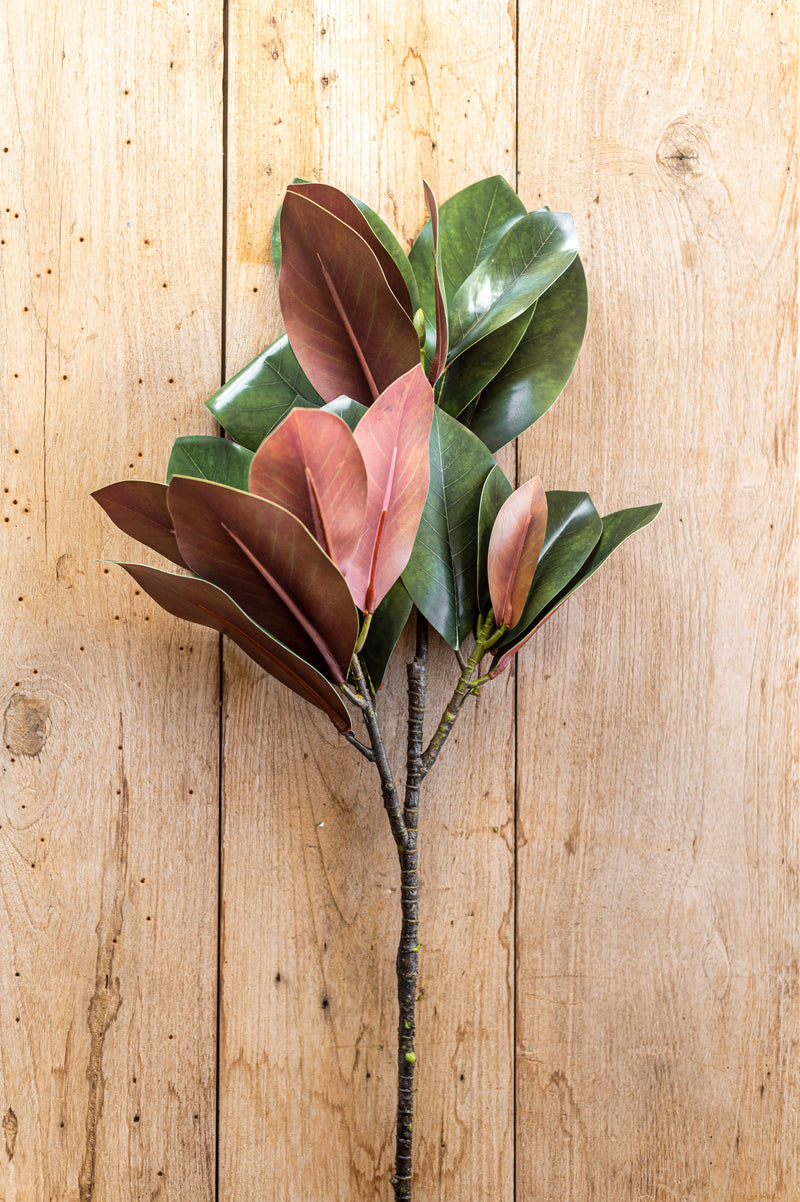 32 Inch Orange Magnolia Branch