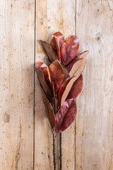 32 Inch Orange Magnolia Branch