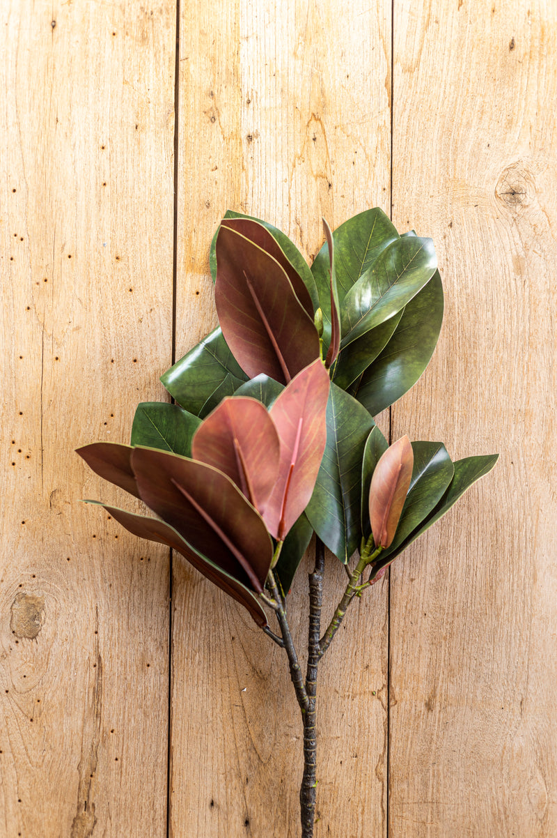 32 Inch Orange Magnolia Branch