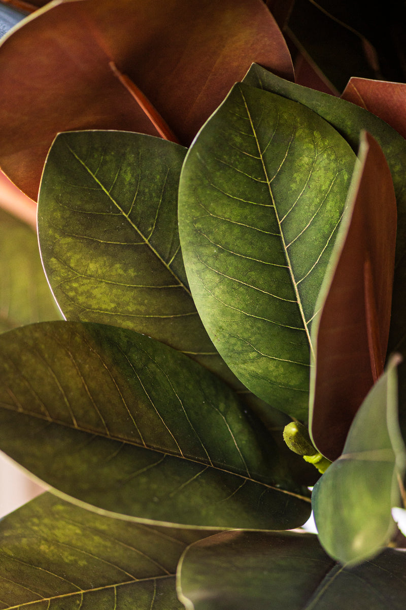 32 Inch Orange Magnolia Branch