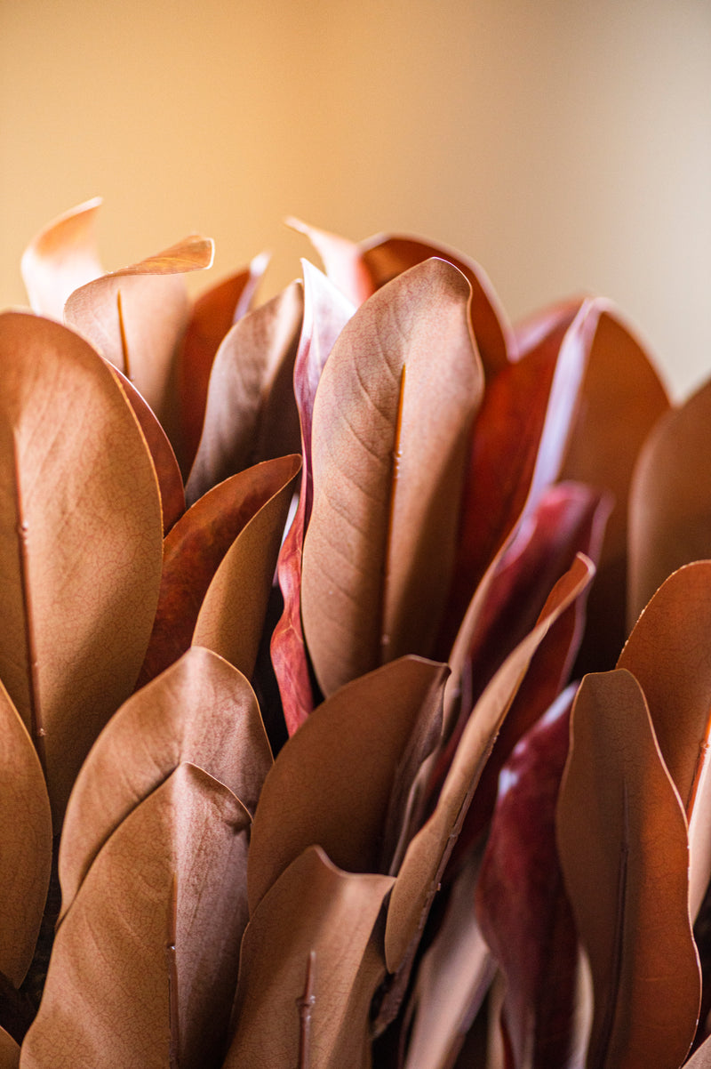 32 Inch Orange Magnolia Branch