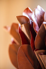 32 Inch Orange Magnolia Branch